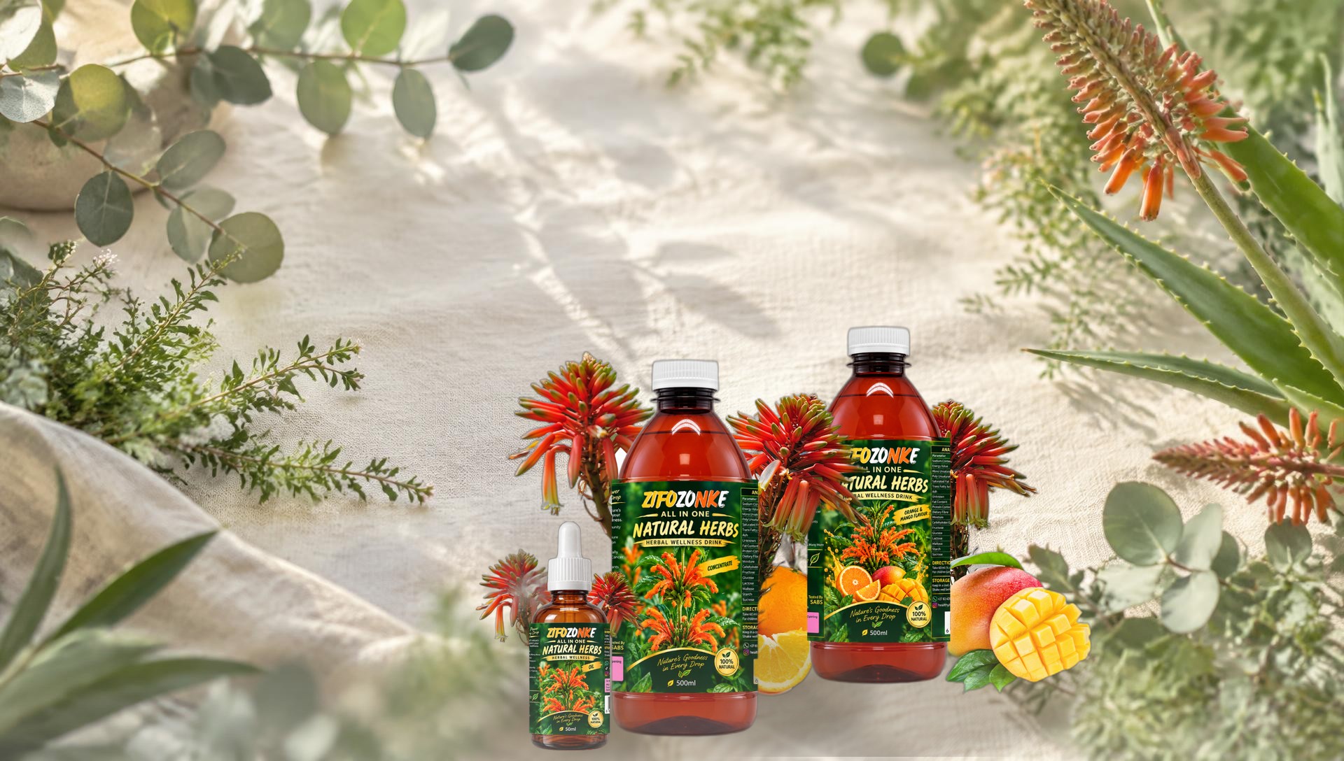 ZifoZonke natural herbs wellness products on a sunlit table surrounded by botanicals